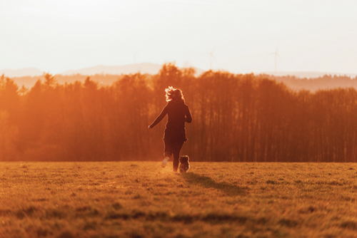 How does your emotional wellness affect your health?